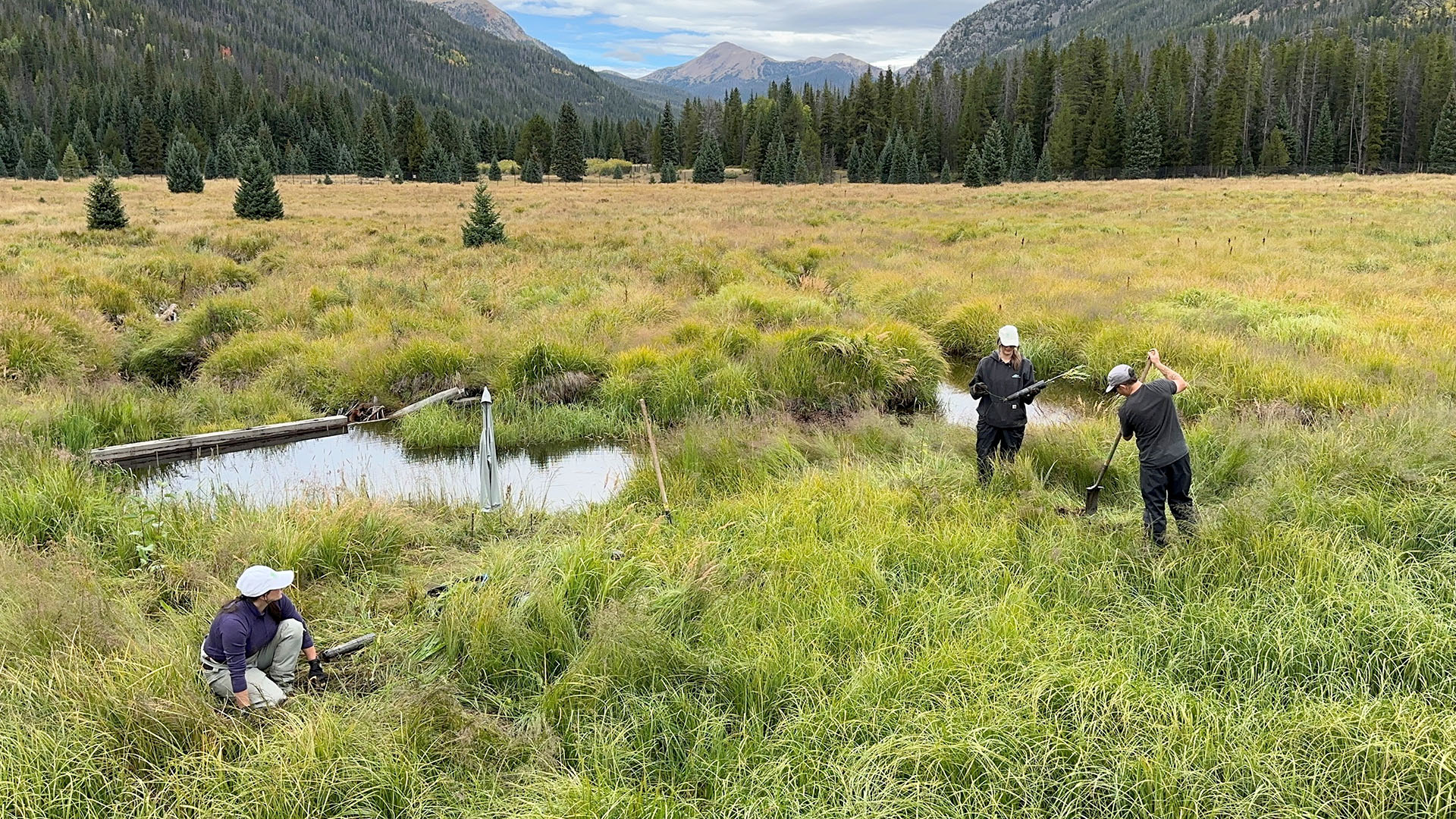Three people in a large valley planting willows with mountain surroundings.