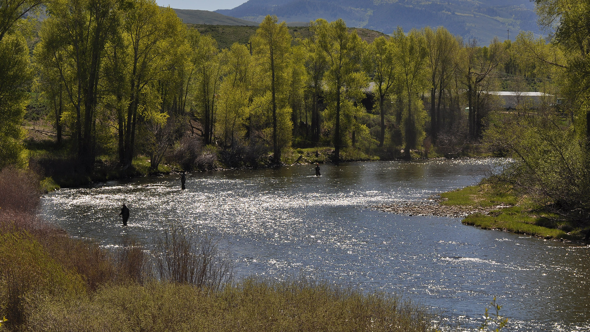 Water flowing through the upper Colorado River