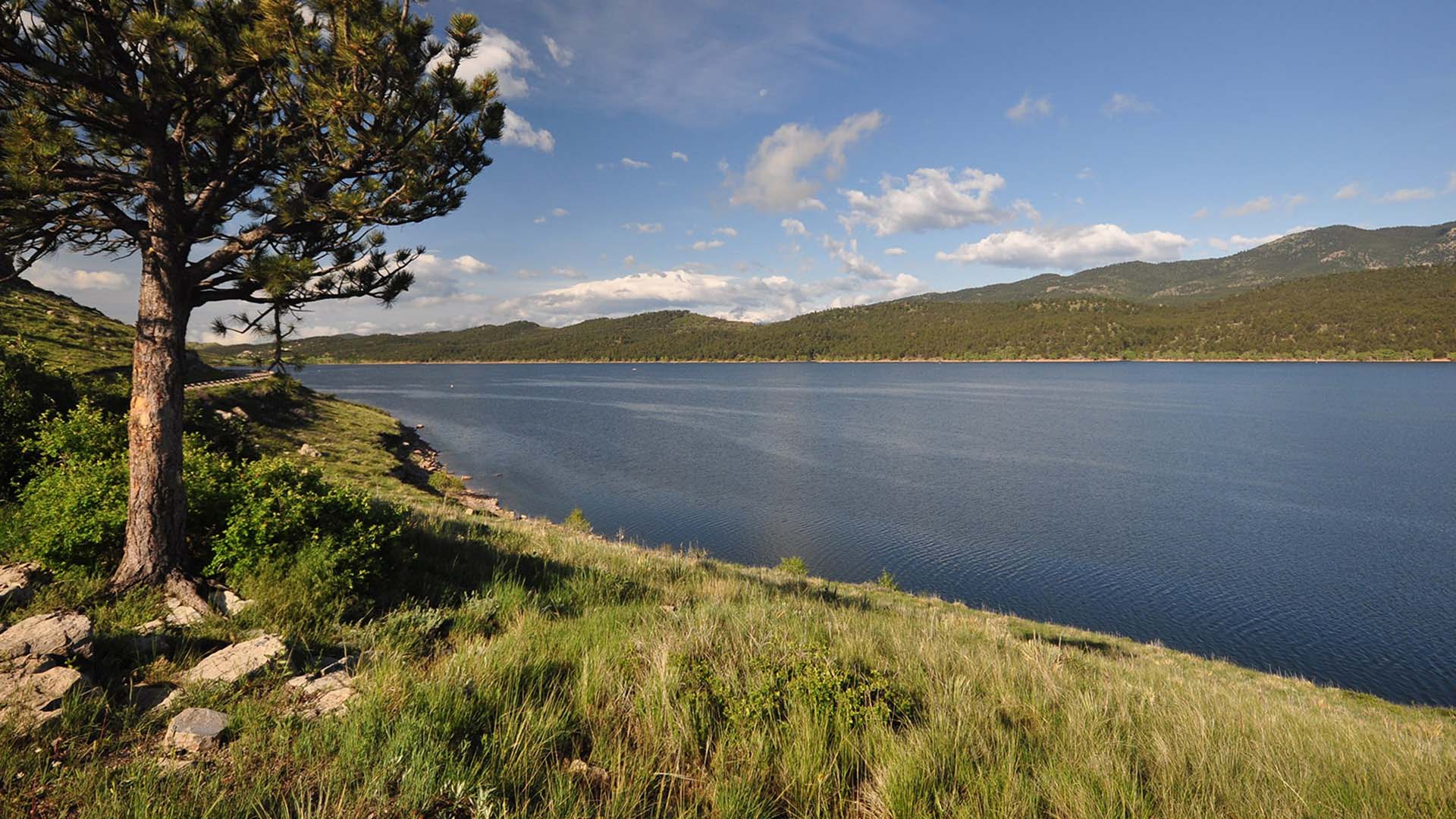 Carter Lake with foothills in the background and a tree in foreground.