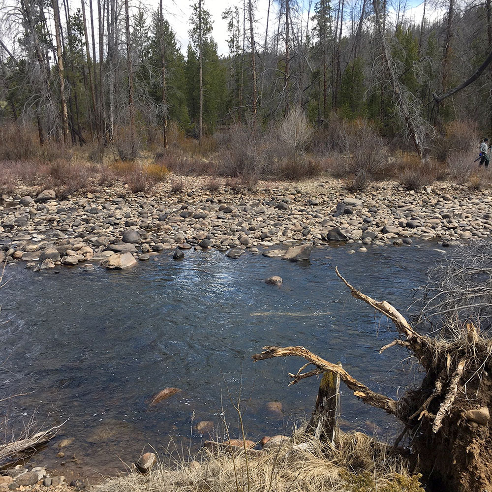 A probe laying in the bottom of the river measuring water temperature. 