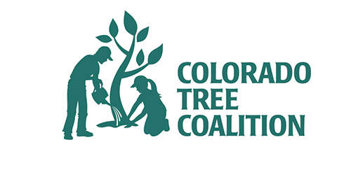 Colorado Tree Coalition Logo