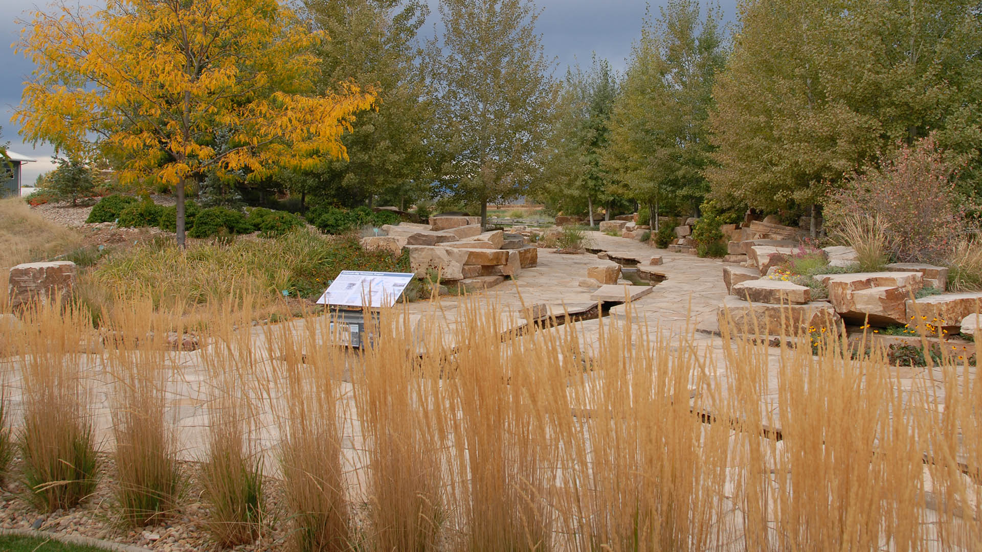 Fall colors in the C-BT Interpretive Area at Northern Water's Berthoud Headquarters