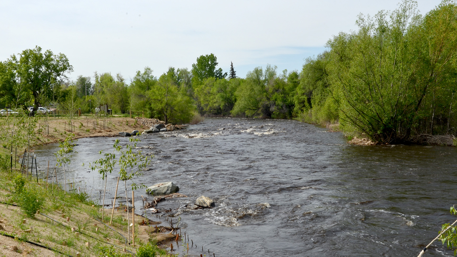 Poudre River near Overland, Fort Collins, CO